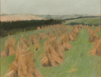 Campo de maíz
